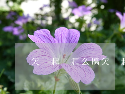 欠錢起訴怎么搞(欠錢起訴怎么起訴)