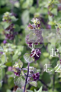 欠錢起訴怎么處理（關(guān)于欠錢起訴怎么辦）