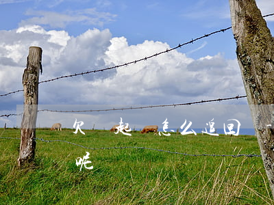欠錢起訴怎么追回來-欠錢起訴怎么追回來呢