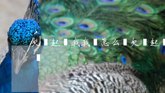 欠錢起訴我我該怎么辦(欠錢起訴錢能要回來嗎)