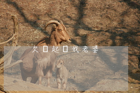 欠錢起訴我老婆