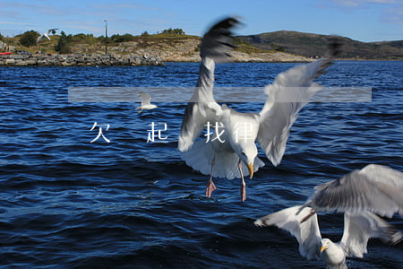 欠錢起訴找律師