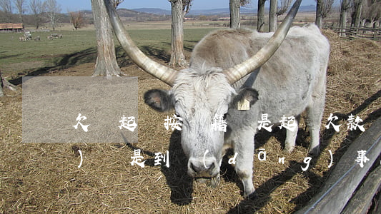 欠錢起訴按戶籍還是 起訴欠款應(yīng)該是到當(dāng)事人戶籍地嗎