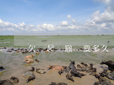 欠錢起訴撤訴要多久-欠款撤訴