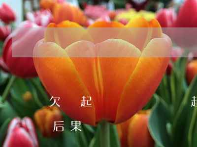 欠錢起訴敗訴沒錢還(起訴敗訴沒有錢有什么后果)