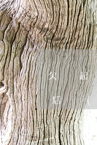 欠錢起訴會(huì)影響爸媽嗎(欠錢起訴后會(huì)影響子女就業(yè)嗎)