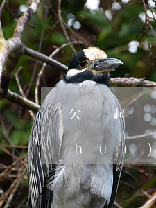 欠錢起訴會(huì)快嗎(欠錢起訴了會(huì)坐牢嗎)