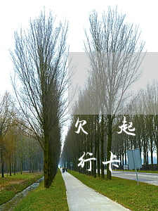 欠錢起訴會查出來嗎(欠錢被起訴法院會查銀行卡嗎)