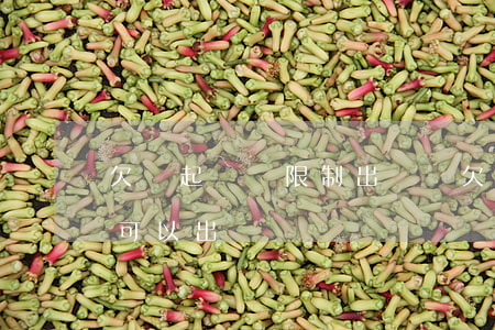 欠錢起訴會限制出國嗎(欠錢了.法院起訴了可以出國嗎)
