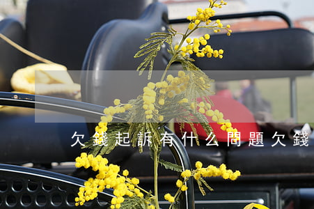 欠錢起訴有什么問題 欠錢起訴什么后果