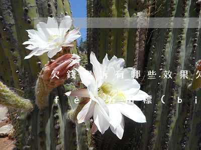 欠錢起訴有哪些效果(欠錢起訴的流程及費(fèi)用標(biāo)準(zhǔn))