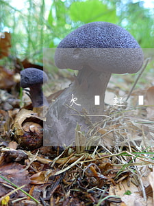 欠錢起訴有案底(欠錢起訴有案底怎么辦)