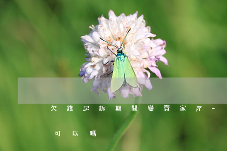 欠錢起訴期間變賣家產-被起訴后變賣家產可以嗎