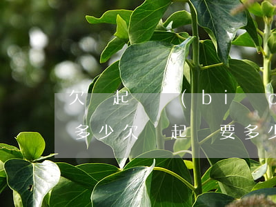 欠錢起訴標(biāo)準(zhǔn)是多少(欠錢起訴要多少費(fèi)用)