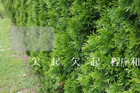 欠錢 起訴（欠錢起訴程序和范文）