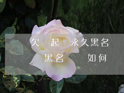 欠錢起訴永久黑名單嗎(借錢不還被起訴后成為黑名單會如何)