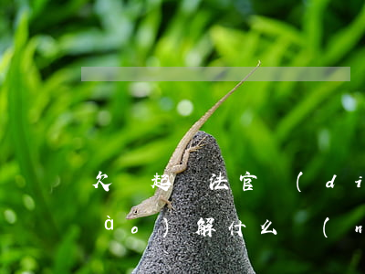 欠錢起訴法官調(diào)解都調(diào)解什么內(nèi)容-欠錢起訴法官調(diào)解都調(diào)解什么內(nèi)容呢