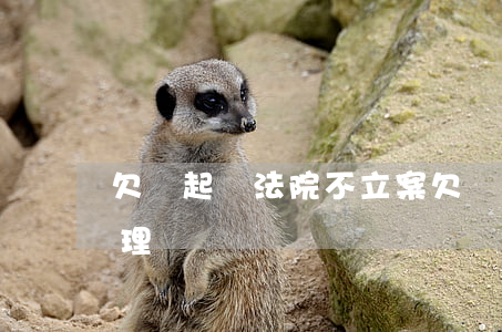欠錢起訴法院不立案(欠錢不還起訴法院不受理)