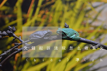 欠錢起訴法院怎么收費(欠錢起訴法院收費標(biāo)準(zhǔn))