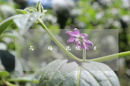 欠錢起訴流程10萬
