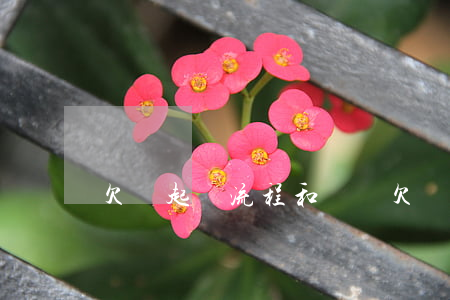 欠錢起訴流程和時間(欠錢被起訴流程)