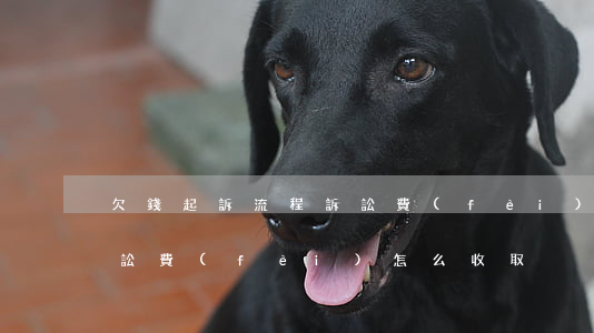 欠錢起訴流程訴訟費(fèi) 欠錢起訴訴訟費(fèi)怎么收取