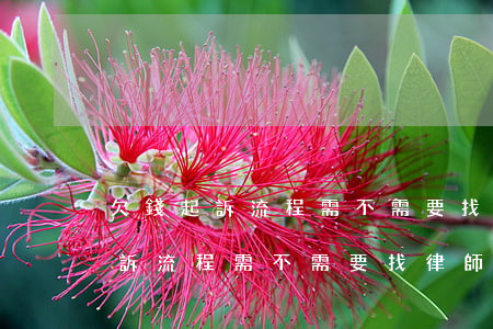 欠錢起訴流程需不需要找律師訴訟-欠錢起訴流程需不需要找律師訴訟呢