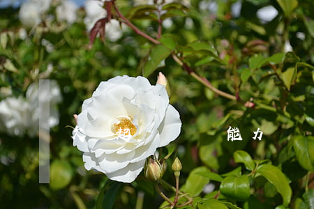 欠錢起訴無償還能力