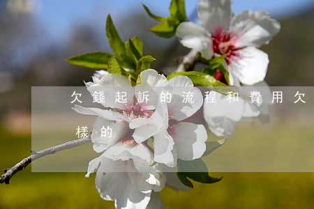 欠錢起訴的流程和費用(欠錢起訴流程是怎么樣的)