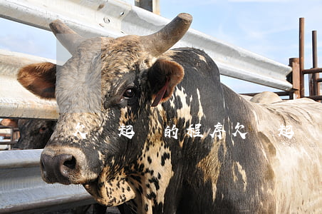 欠錢起訴的程序(欠錢起訴程序得走多久)