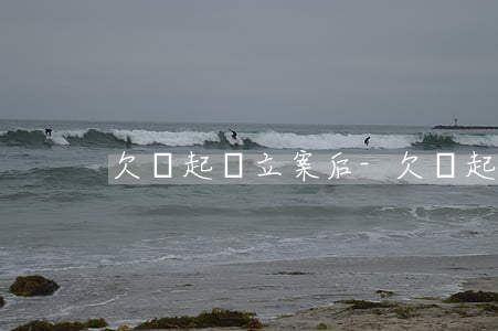 欠錢起訴立案后-欠錢起訴立案后