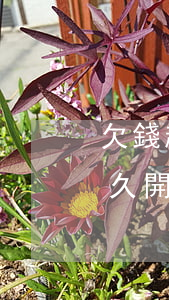 欠錢起訴立案多久開庭-欠錢立案起訴要多久開庭