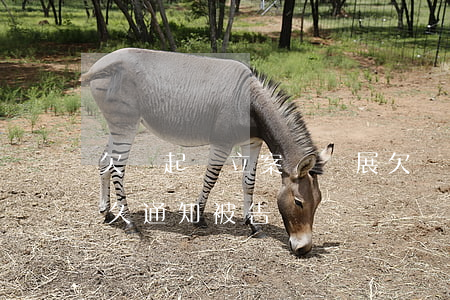 欠錢起訴立案無進展(欠錢不還起訴立案后多久通知被告)