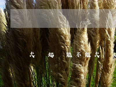 欠錢起訴能不能(欠錢起訴能不能要回錢)