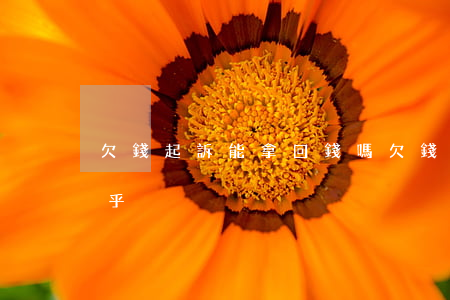欠錢起訴能拿回錢嗎(欠錢起訴能拿回錢嗎知乎)