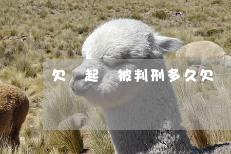 欠錢起訴被判刑多久（欠錢起訴被判刑）