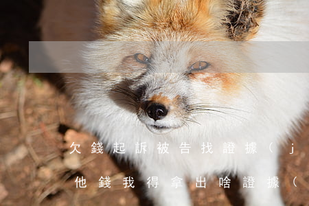 欠錢起訴被告找證據(jù)(原告起訴我欠他錢,我得拿出啥證據(jù)證明不欠他錢)