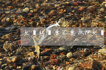 欠錢起訴要不要抵押(欠錢起訴要不要抵押)
