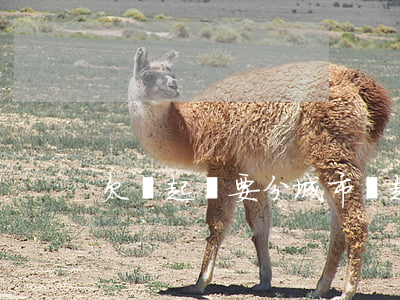 欠錢起訴要分城市嗎(起訴欠錢不還分地域嗎)