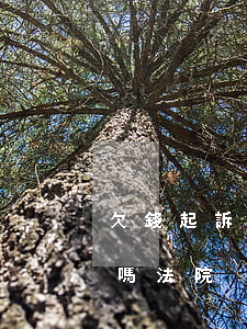 欠錢起訴要去戶籍地嗎(欠錢起訴要去戶籍地嗎法院)