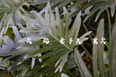 欠錢起訴要多久結案(欠錢起訴一般多久結案)