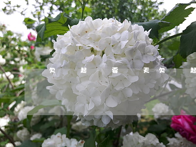 欠錢起訴要幾天 欠錢起訴幾天生效