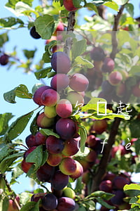 欠錢起訴訴訟費(fèi)多少(欠錢起訴費(fèi)用怎么算)