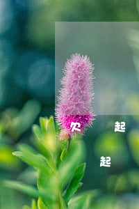 欠錢起訴訴訟費(fèi) 欠5000錢不還起訴費(fèi)用多少