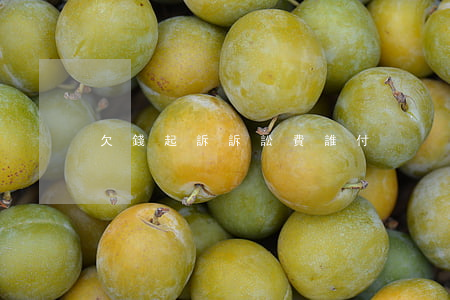欠錢起訴訴訟費誰付