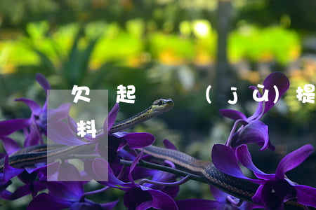 欠錢起訴證據(jù)提供范本(欠錢起訴資料)