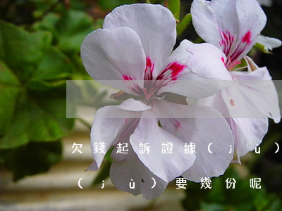 欠錢起訴證據(jù)要幾份(欠錢起訴證據(jù)要幾份呢)