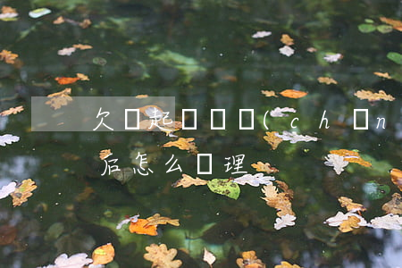 欠錢起訴財產(chǎn)怎么分(欠錢起訴后怎么處理)