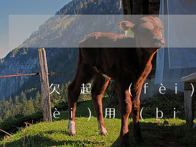 欠錢起訴費(fèi)怎么(起訴欠錢費(fèi)用標(biāo)準(zhǔn))