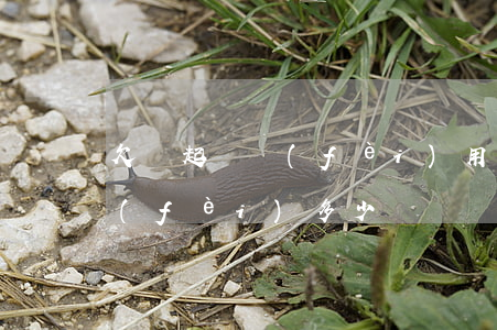 欠錢起訴費(fèi)用要多少(欠錢起訴費(fèi)多少錢)